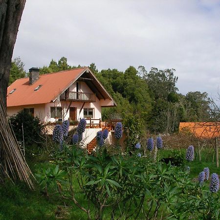 Bio Quinta Do Pantano, Agro Turismo Villa Santo Antonio da Serra Eksteriør bilde
