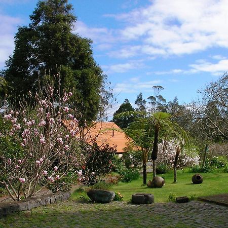Bio Quinta Do Pantano, Agro Turismo Villa Santo Antonio da Serra Eksteriør bilde