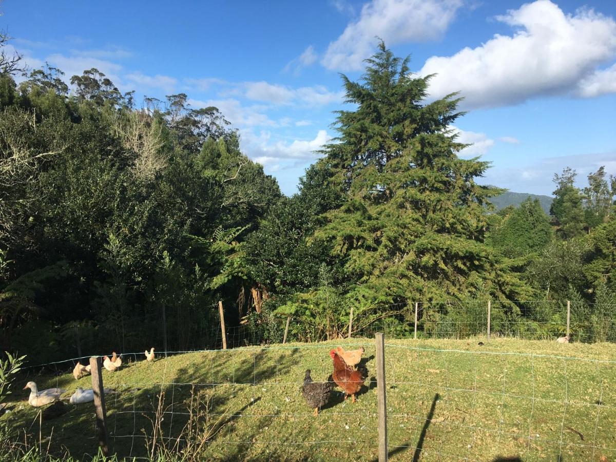 Bio Quinta Do Pantano, Agro Turismo Villa Santo Antonio da Serra Eksteriør bilde