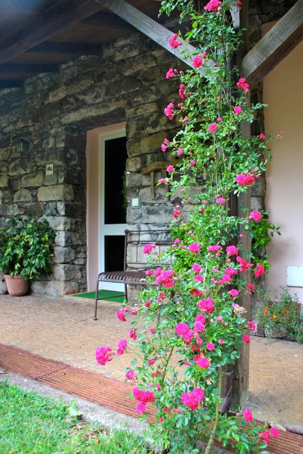 Bio Quinta Do Pantano, Agro Turismo Villa Santo Antonio da Serra Eksteriør bilde