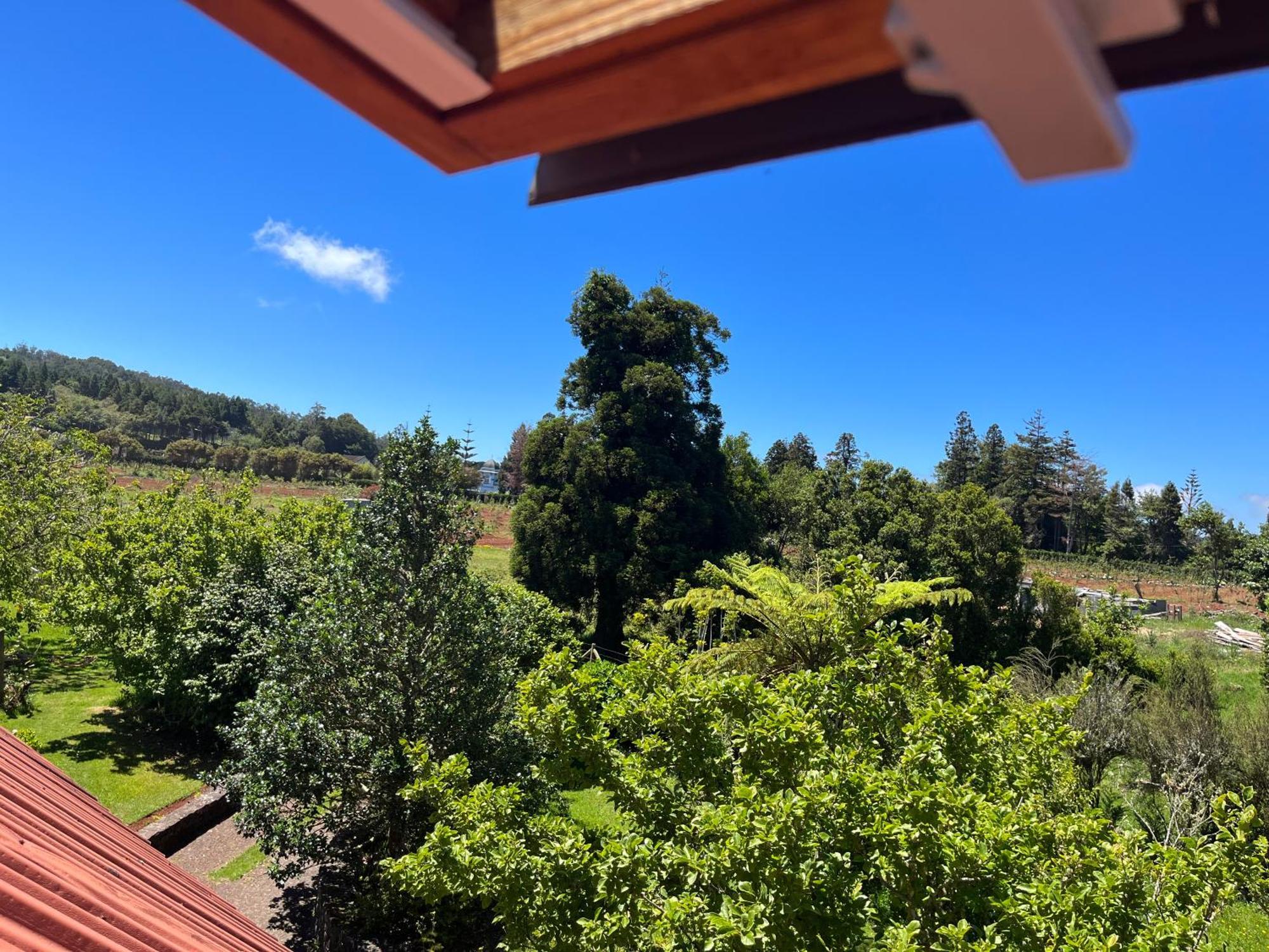 Bio Quinta Do Pantano, Agro Turismo Villa Santo Antonio da Serra Eksteriør bilde