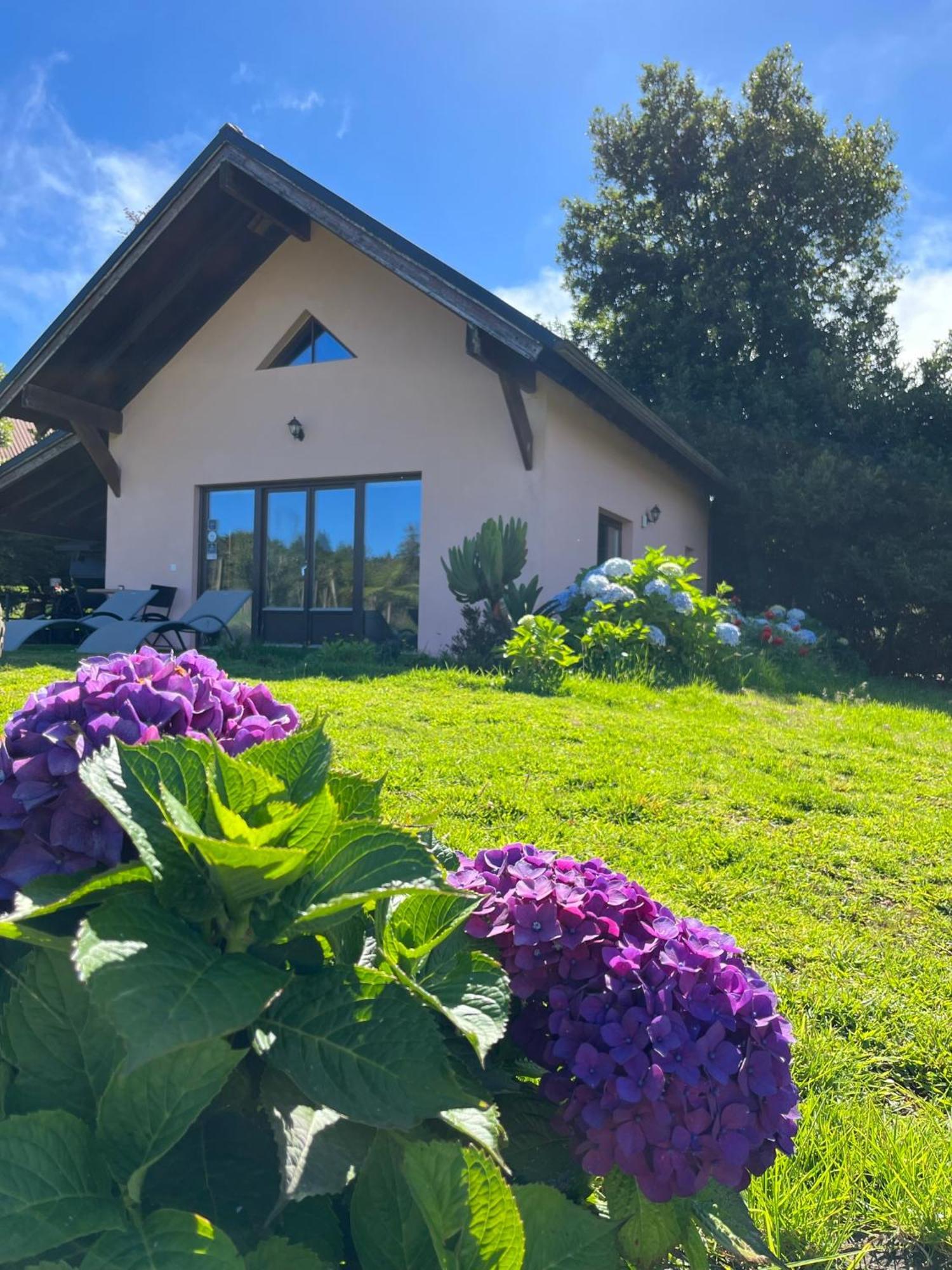 Bio Quinta Do Pantano, Agro Turismo Villa Santo Antonio da Serra Eksteriør bilde