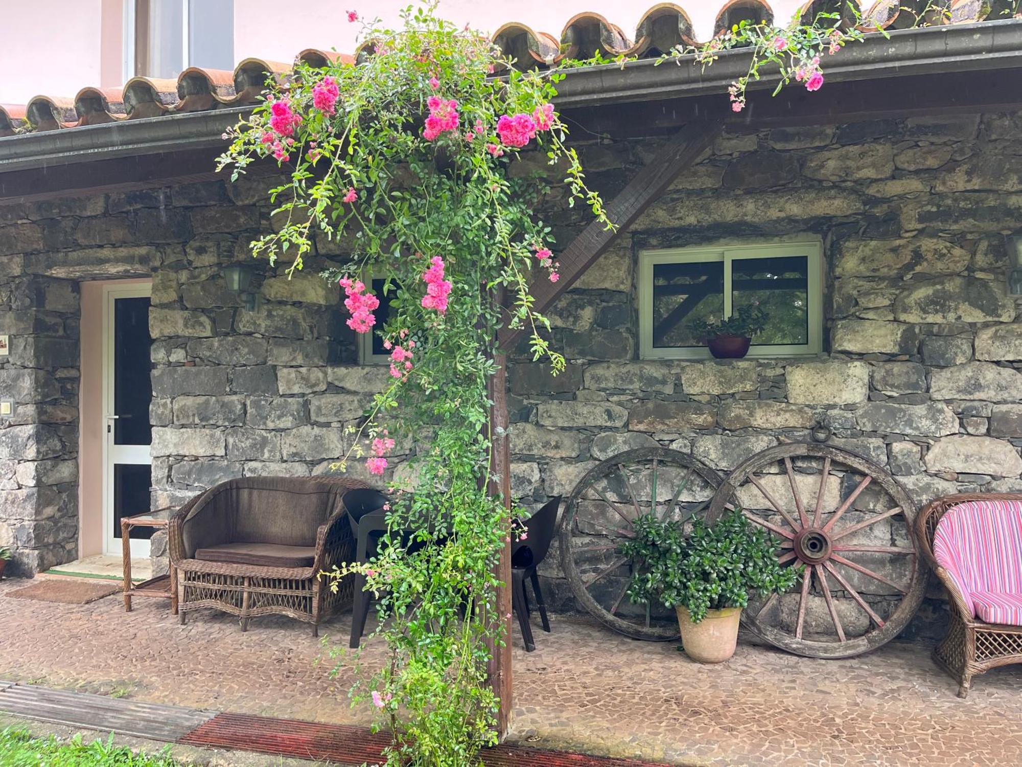 Bio Quinta Do Pantano, Agro Turismo Villa Santo Antonio da Serra Eksteriør bilde