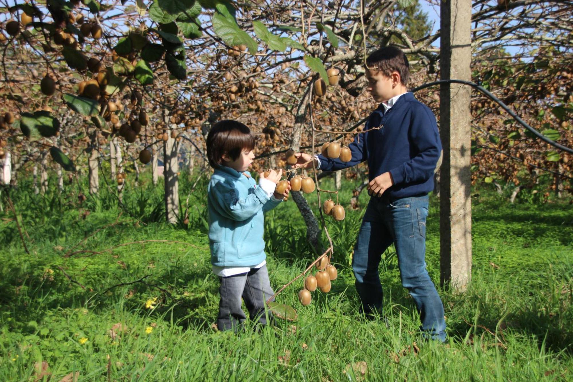 Bio Quinta Do Pantano, Agro Turismo Villa Santo Antonio da Serra Eksteriør bilde