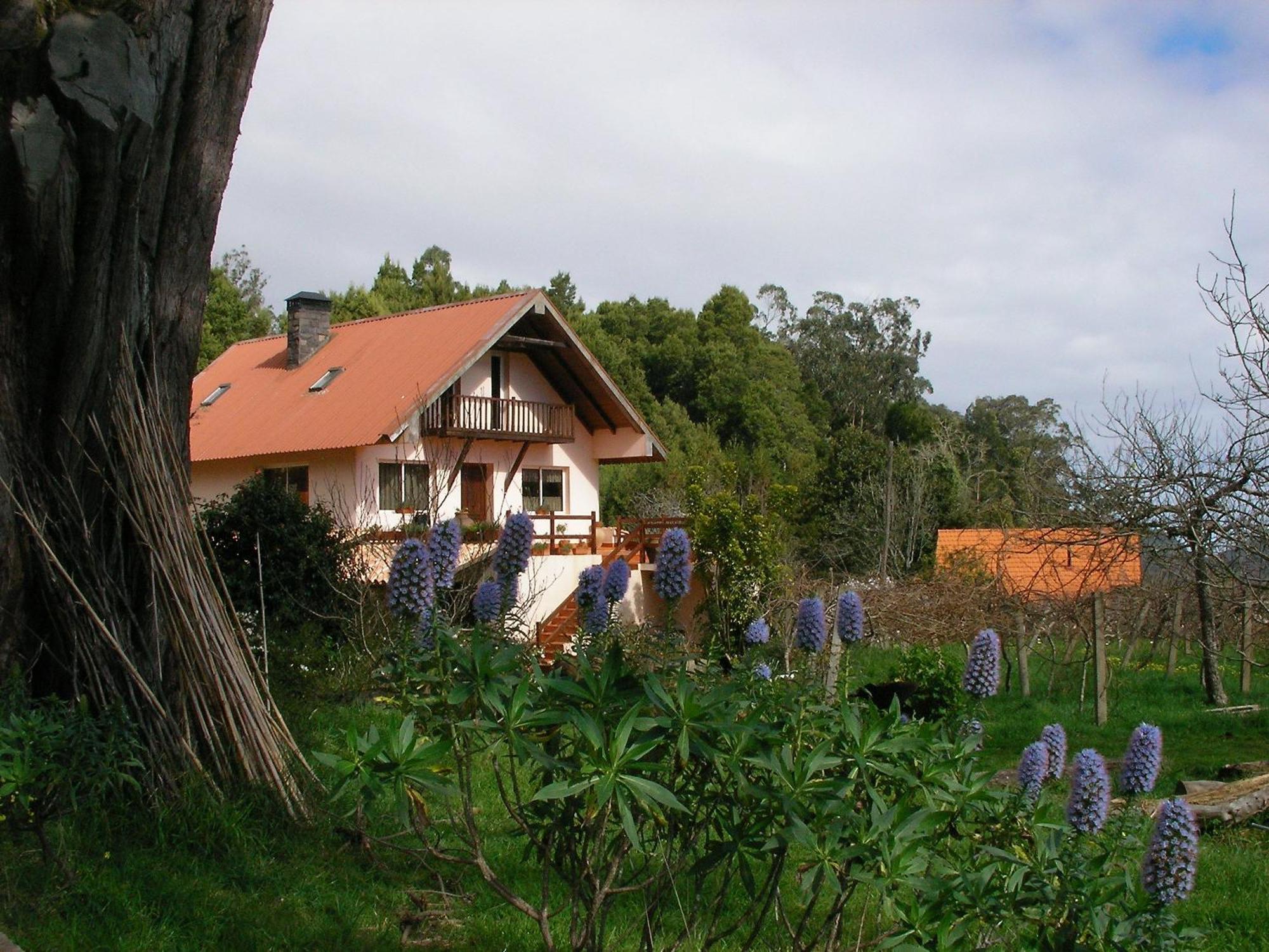 Bio Quinta Do Pantano, Agro Turismo Villa Santo Antonio da Serra Eksteriør bilde