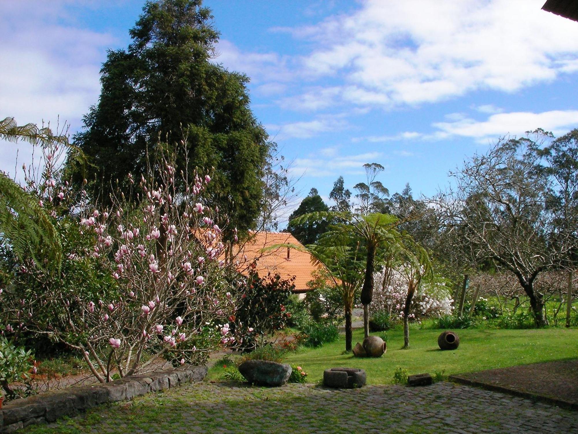 Bio Quinta Do Pantano, Agro Turismo Villa Santo Antonio da Serra Eksteriør bilde