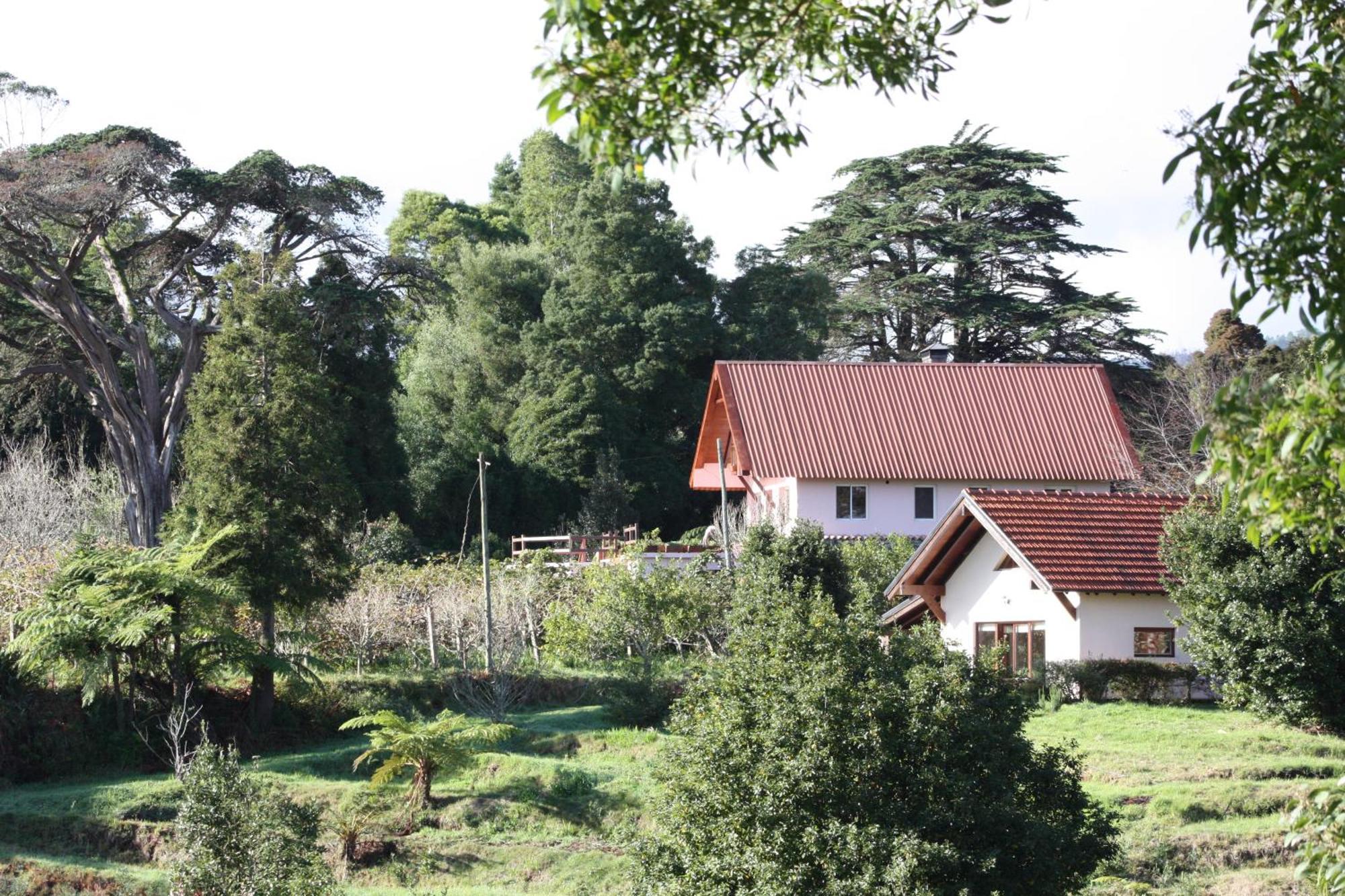 Bio Quinta Do Pantano, Agro Turismo Villa Santo Antonio da Serra Eksteriør bilde