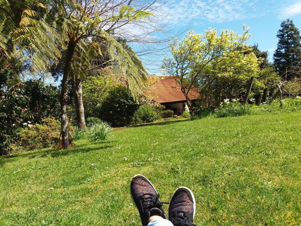 Bio Quinta Do Pantano, Agro Turismo Villa Santo Antonio da Serra Eksteriør bilde
