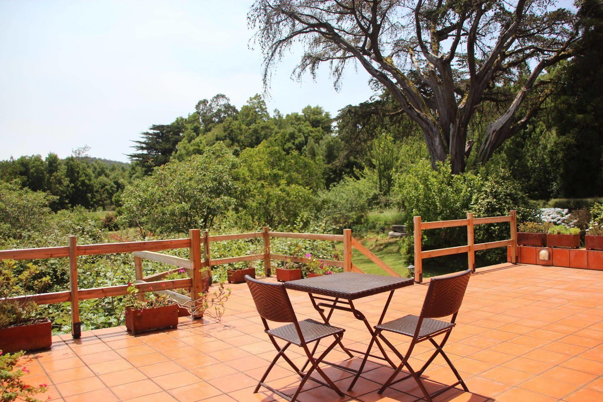 Bio Quinta Do Pantano, Agro Turismo Villa Santo Antonio da Serra Eksteriør bilde