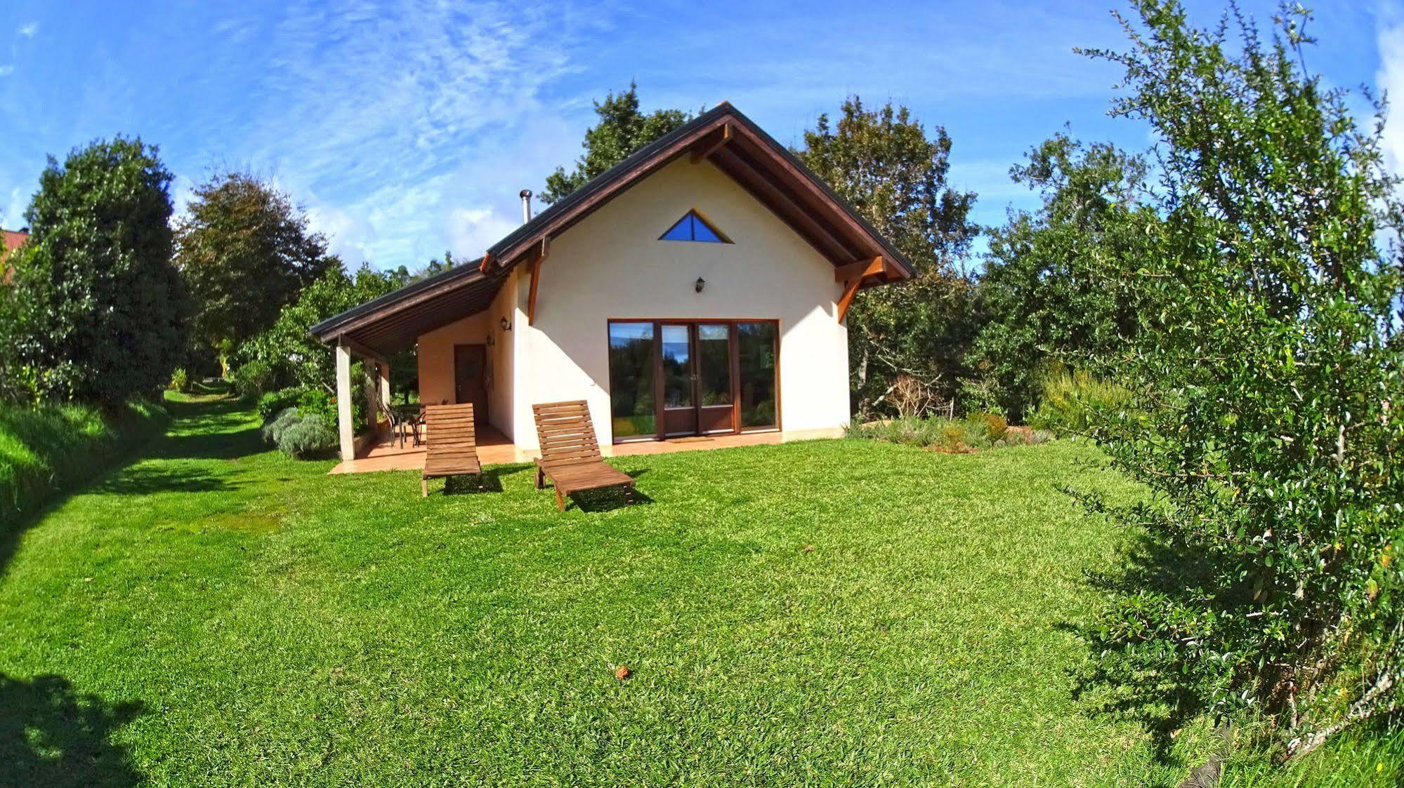 Bio Quinta Do Pantano, Agro Turismo Villa Santo Antonio da Serra Eksteriør bilde